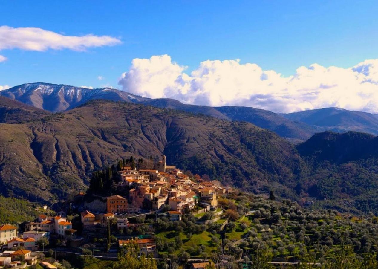 Le Domaine De La Feuilleraie Panzió Coaraze Kültér fotó
